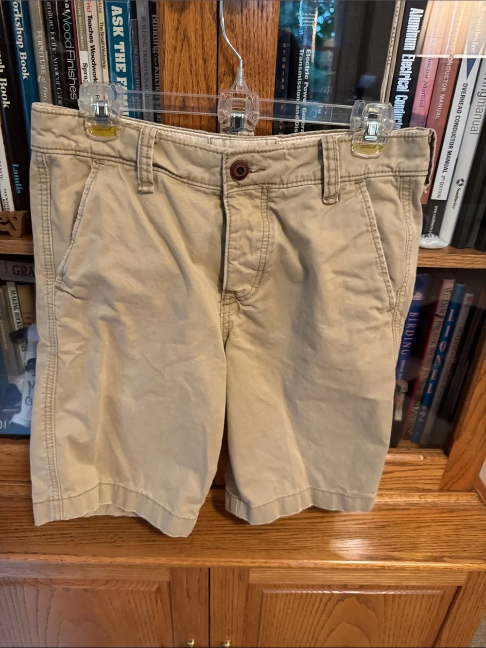 Hollister Tan Flat Front Men’s Shorts
